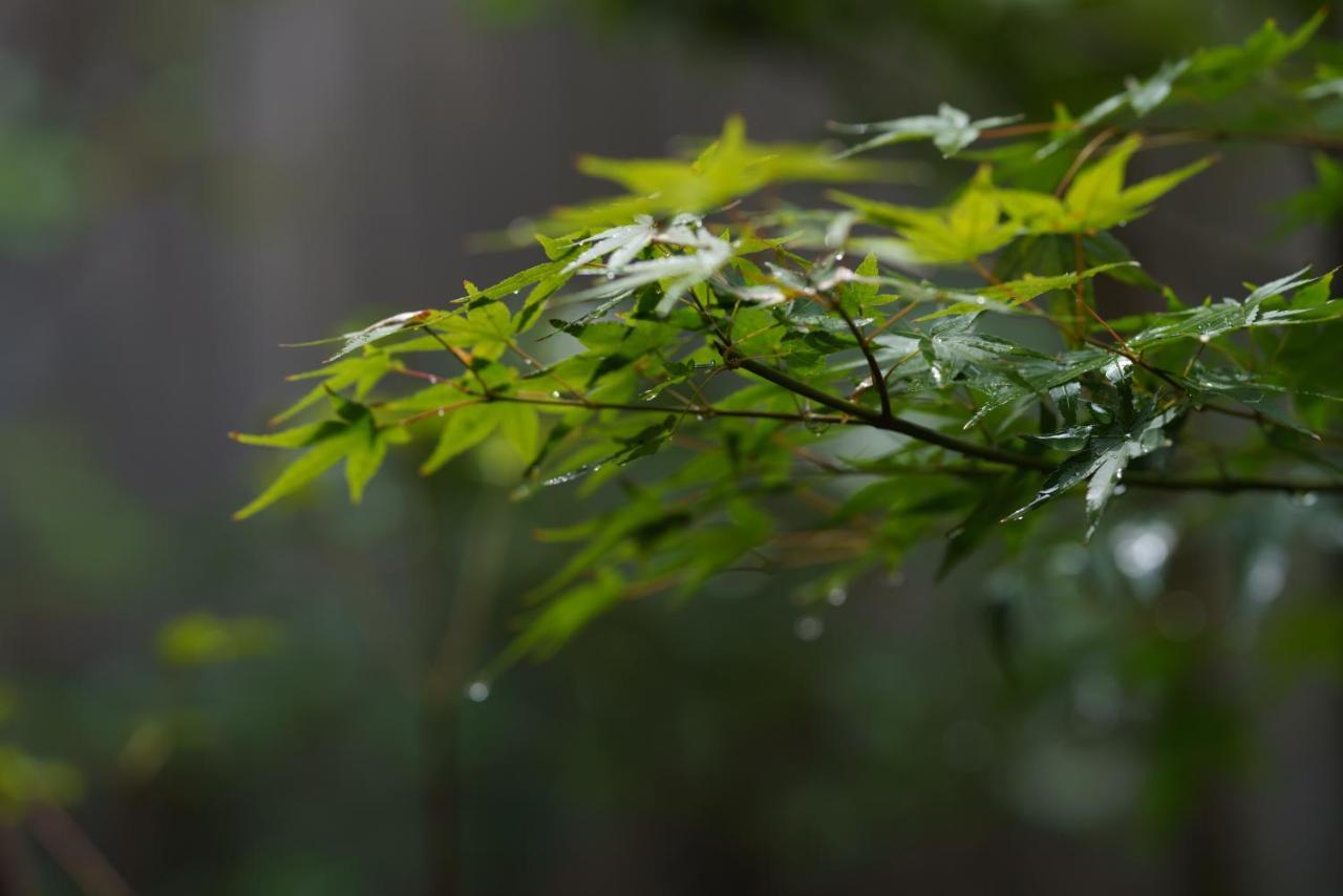 滔々 御崎 町家の宿 Toutou Onzaki Machiya No Yado Курасики Экстерьер фото